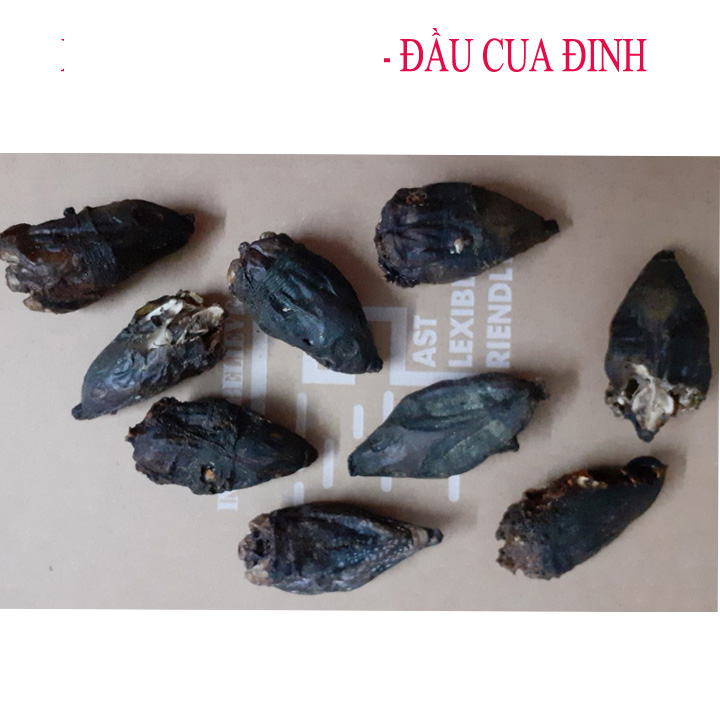 [HCM]cua đinh
