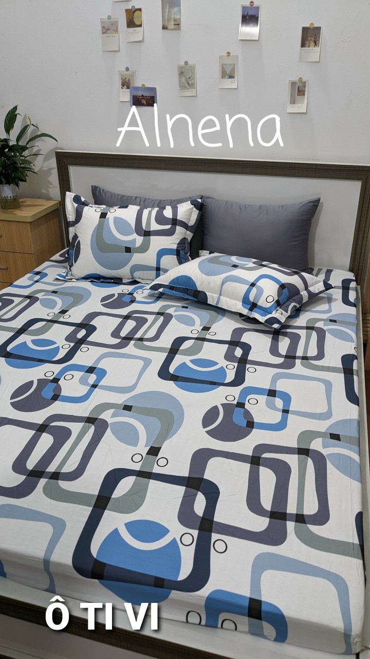 Set ga gối 3 món ga chun bọc và 2 vỏ gối cotton 100% Alnena 1m6x2m.