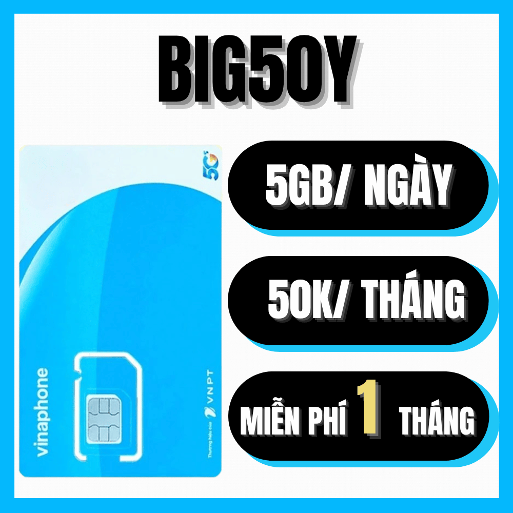 ( Chỉ Từ 49K/Tháng ) Thánh Sim 5G Vinaphone 1 Tỷ Gb nghe gọi tẹt Ga Dùng Cả Tháng Sim TD49 VD149 Big