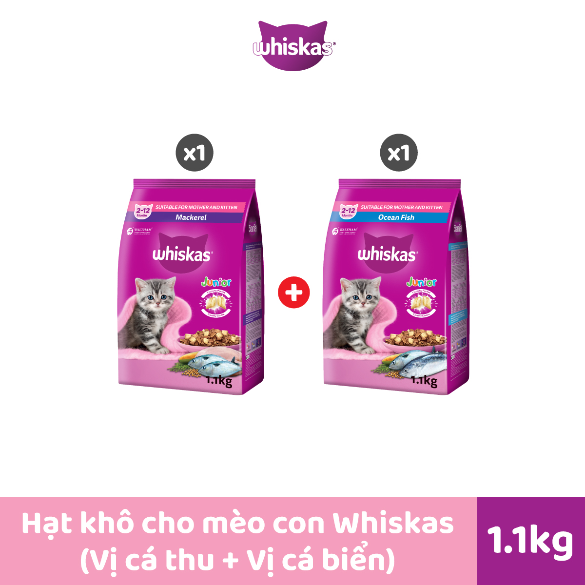 Bộ 2 túi thức ăn WHISKAS®  cho mèo con dạng hạt 1.1kg (2 túi)
