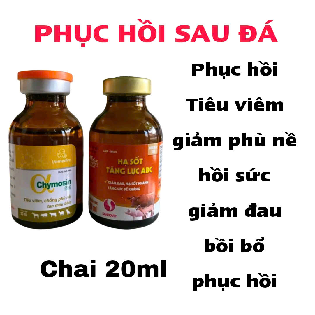 Combo Phục Hồi Sau Đá cho gà gồm 1 chai chymosin và 1 chai hạ sốt tăng lực ABC (20ml)