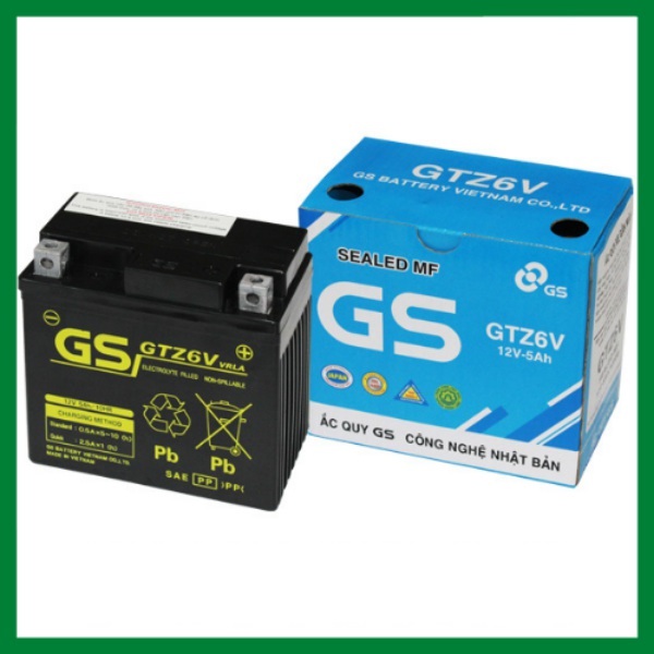 Bình ắc quy GS GTZ6V