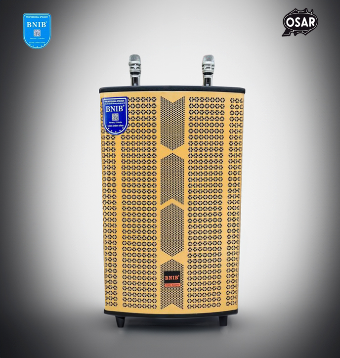 [Tặng bộ pin sạc] LOA KÉO BNIB 12A BASS 30 BA ĐƯỜNG TIẾNG THÙNG GỖ CAO CẤP ÂM THANH NỔI TWS SIÊU CHẤ