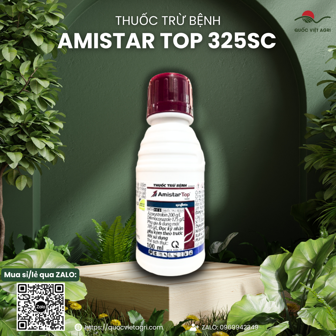 Thuốc trừ bệnh AMISTAR TOP 325SC Syngenta (100ml - 250ml) - Azoxystrobin 200g/l + Difenoconazole 125