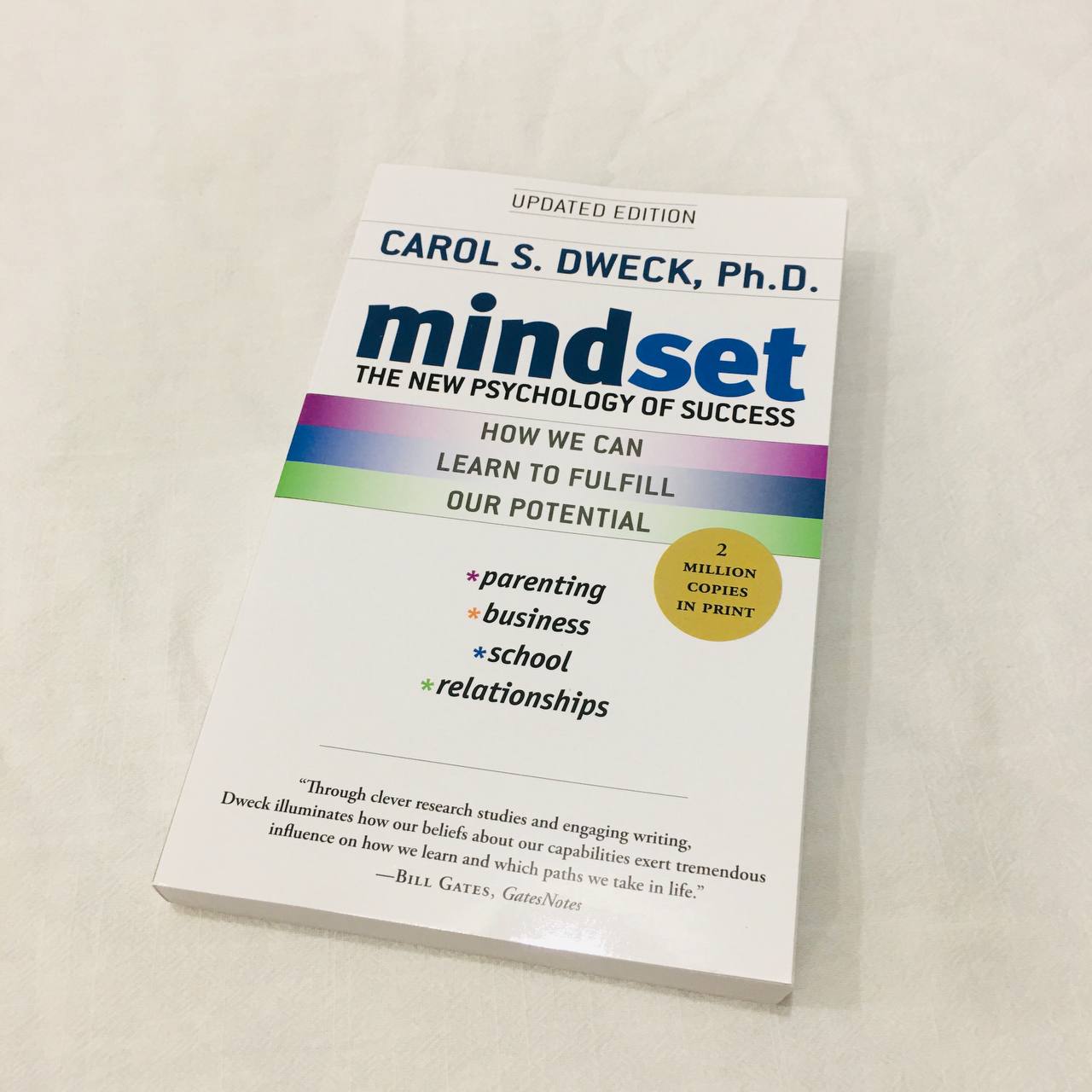 Book Mindset : The New Psychology of Success by Carol S  Dweck