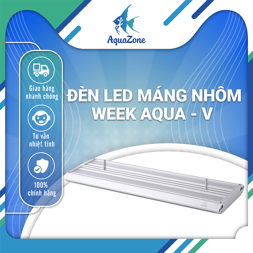 Đèn LED thủy sinh máng nhôm Week Aqua V Series công nghệ WRGB có điều khiển