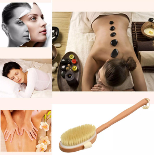 [Hcm]Bàn Chải Khô Mát Xa Cơ Thể Lông Mềm Cán Gỗ Dài Tự Nhiên Miếng Chà Phòng Tắm Lưng Spa Có Thể Tháo Rời Tẩy Tế Bào Chết Cực Sạch