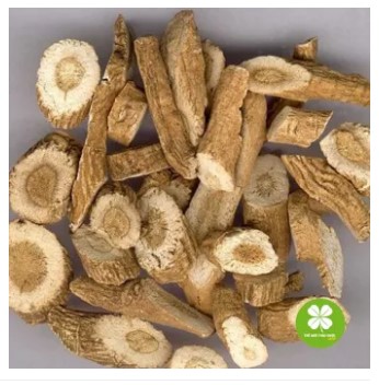 Bản lam căn loại xịn (gói 1kg) - OLF380