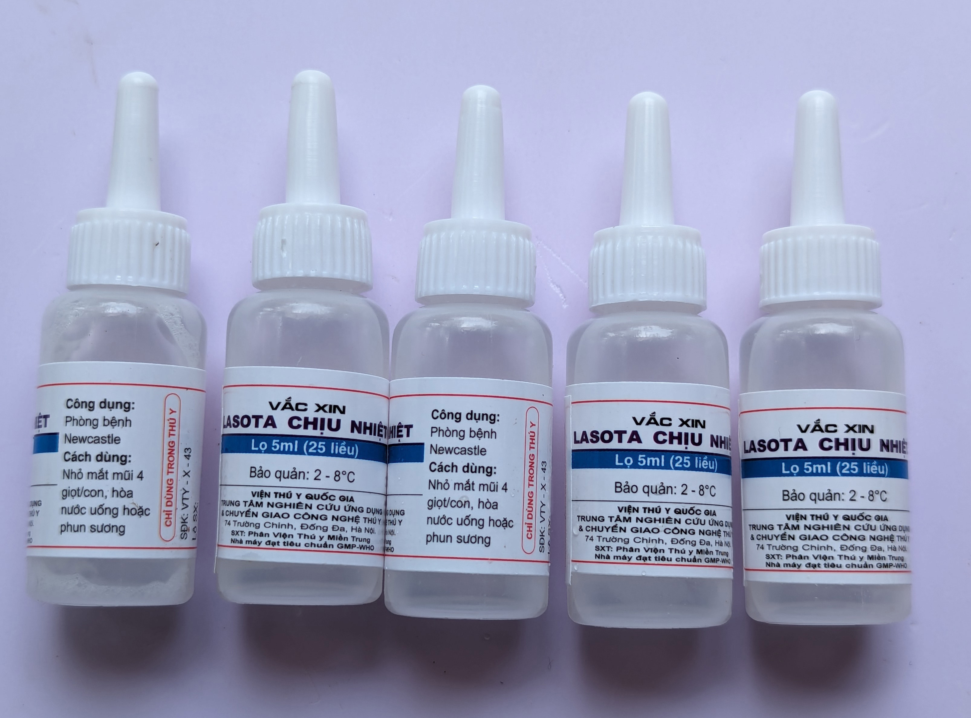 Vắc-xin lasota chiệu nhiệt dạng nước- Ngừa dịch tả gà rù gà toi- Phân dính hậu môn gà con 1lọ 5ml 25