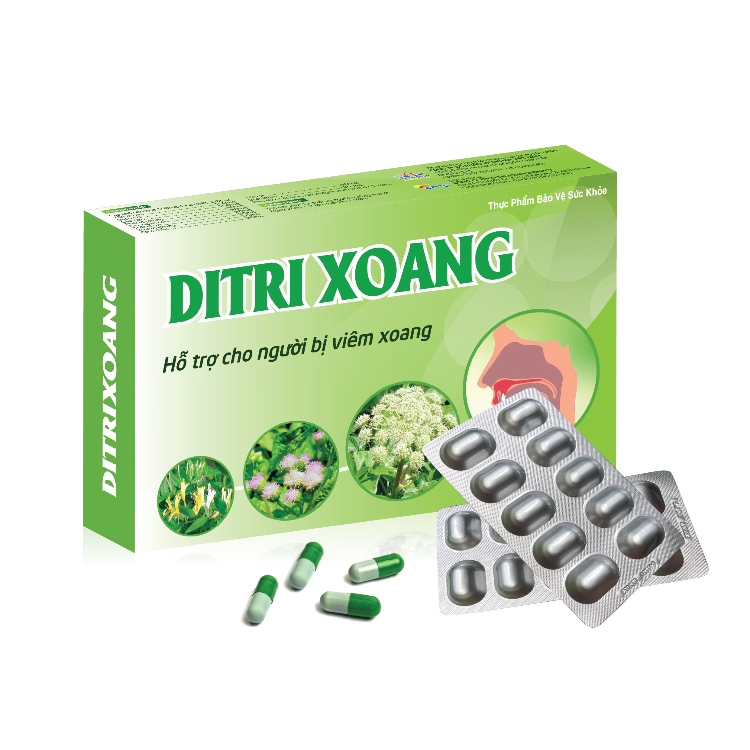 [HCM]Ditri xoang