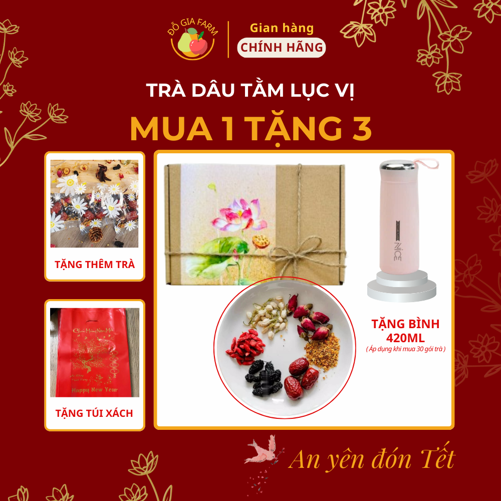 Set trà dâu tằm lục vị thanh nhiệt cơ thể (dâu tằm táo đỏ quế hoa kỷ tử hoa nhài nụ hồng)