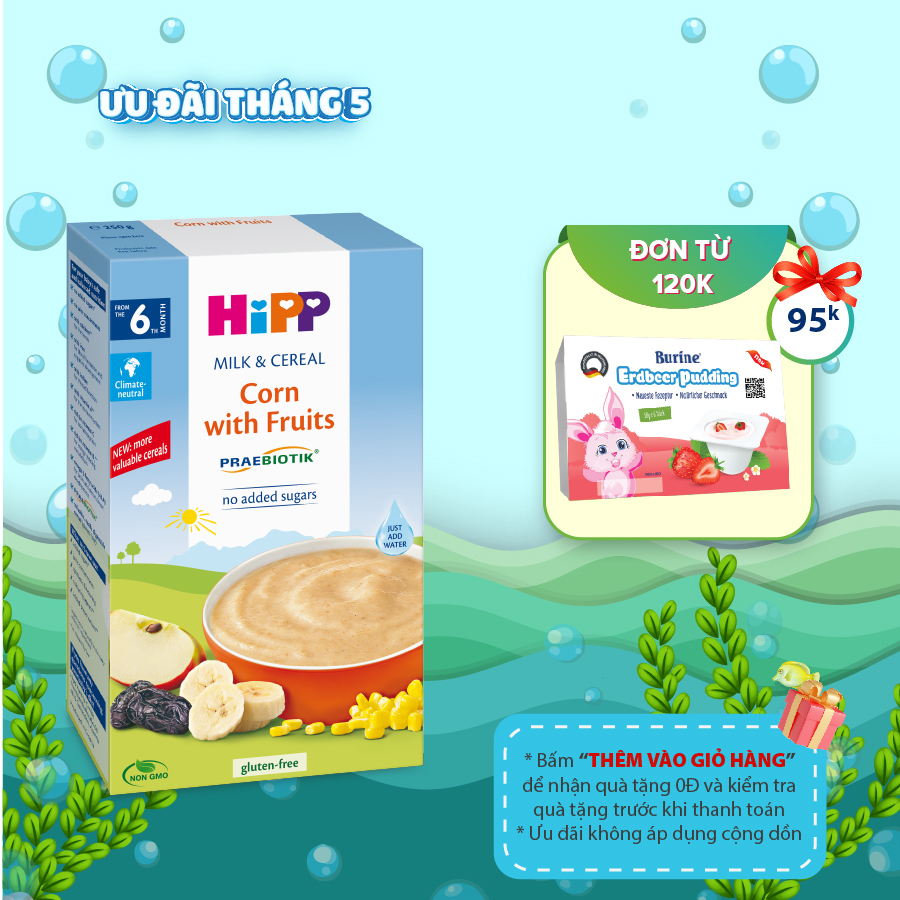 Bột ăn dặm dinh dưỡng Sữa Hoa Quả HiPP Organic 250g