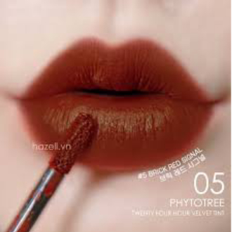 SON KEM Lì Phytotree Twenty Four Hour Velvet Tint 6g Frorence86 Store