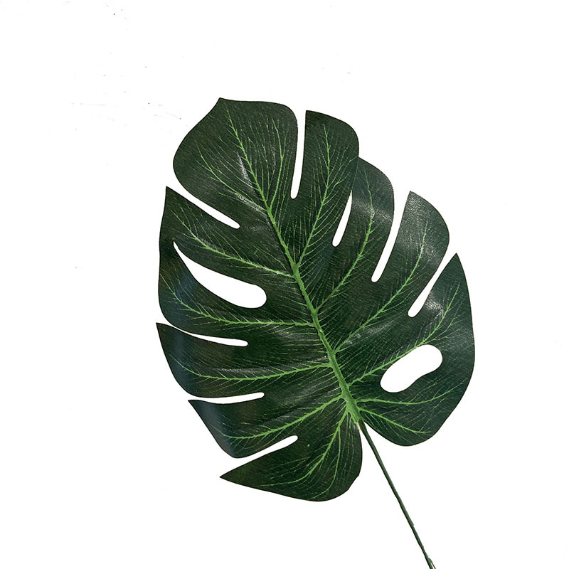 Lá giả lá trầu bà dương xỉ lá cọ lá rùa trang trí nhà cửa chụp ảnh sản phẩm decor quán cà phê để bàn