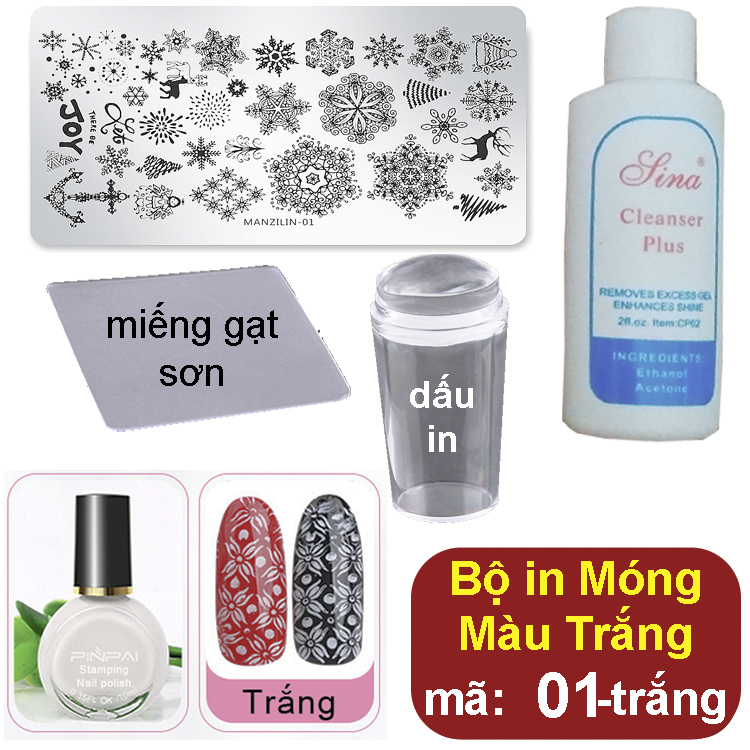 Bộ Khuôn in hình nghệ thuật lên Móng Tay (mã 01)
