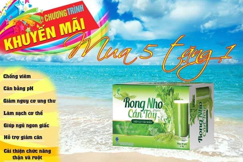 Mua 5 Tặng 1 Rong Nho Cần Tây Diệp Lục Tảo Xoắn Lô Hội Maiskin - Giúp Bạn Làm Đẹp Và Làm Sáng Da Chống Lão Hóa