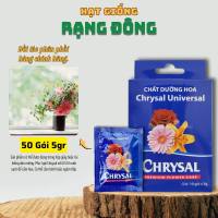 Dưỡng Hoa Lâu Tàn Chrysal [combo 50 gói] Chất dưỡng hoa tươi lâu dành cho hoa bình không hư nước - Hạt giống Rạng Đông