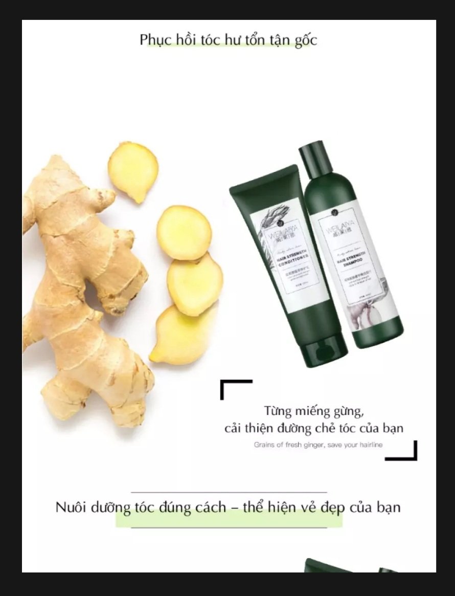 [HCM]Dầu Gội 400ml +Xả 250ml Gừng nhãn trắng Weilaiya [ HÀNG CHÍNH HÃNG ]( TẶNG KÈM SET MINI 20ml+20ml ) tinh chất gừng kích thích mọc tóc giảm rụng tóc cho mái tóc chắc khỏe bồng bềnh.