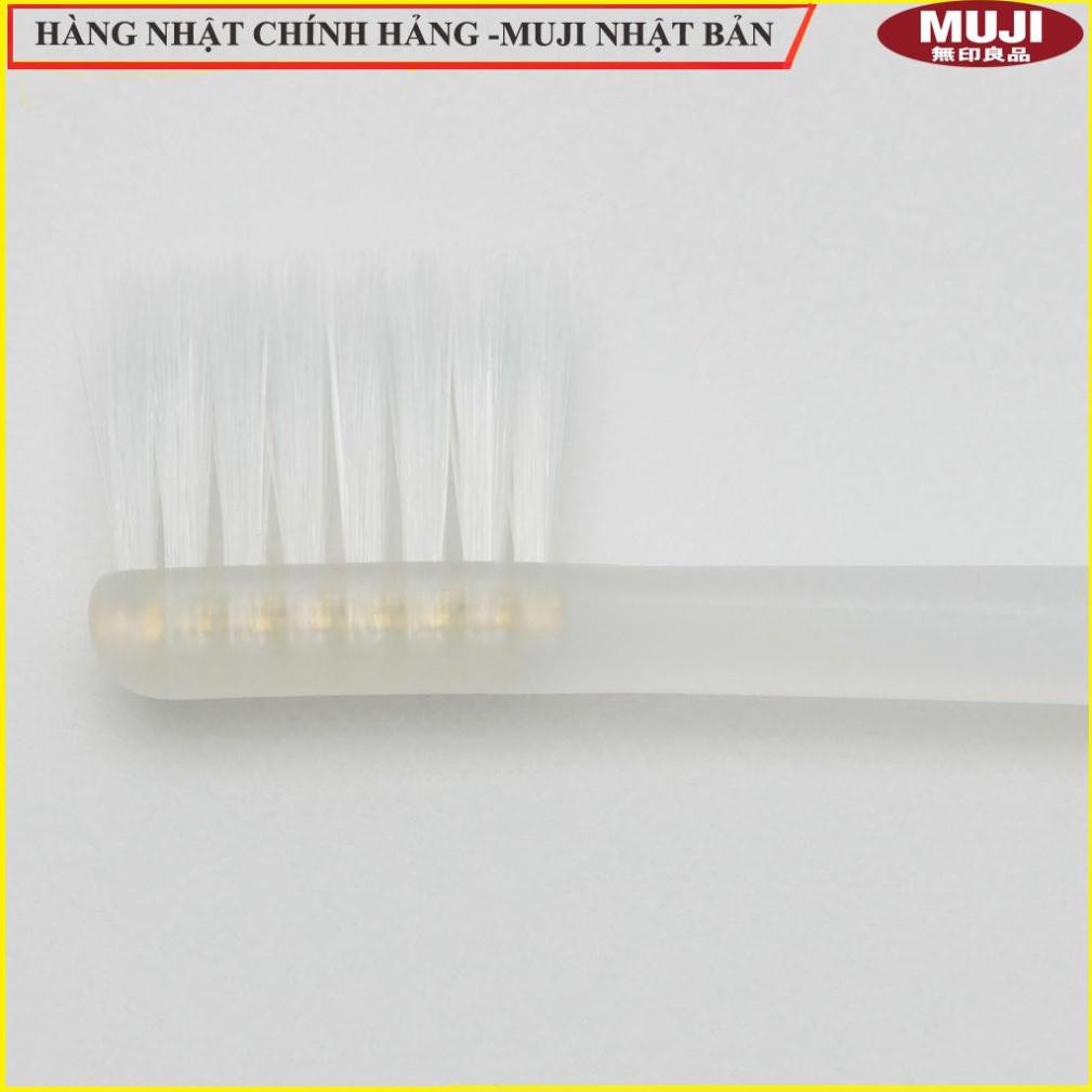 [HCM]BÀN CHẢI ĐÁNH RĂNG GẤP CÓ VỎ 180MM