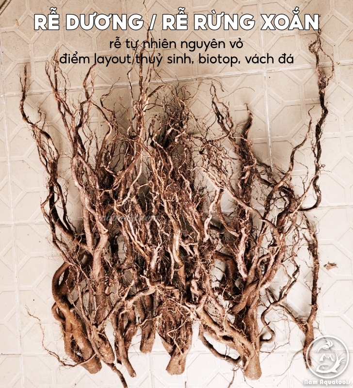Lũa Rễ Dương - Rễ Rừng Xoắn Nguyên Vỏ [100gr/ 200gr] | Trang Trí - Setup Layout Bể Thuỷ Sinh Biotop 