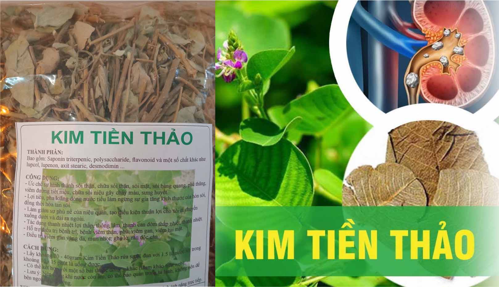 Kim Tiền Thảo (500G)