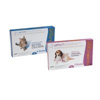 Combo 2 hộp Revolution - Nhỏ gáy Ve rận Bọ chét Ký Sinh Trùng Trong và Ngoài cho Chó Mèo