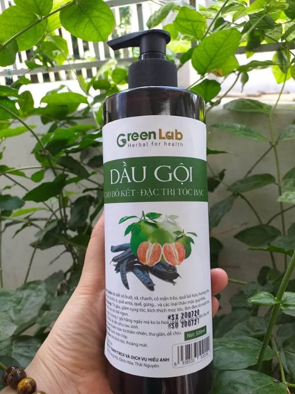 Dầu Gội Cao Bồ Kết Hà Thủ Ô 500Ml Dành Cho Tóc Bạc