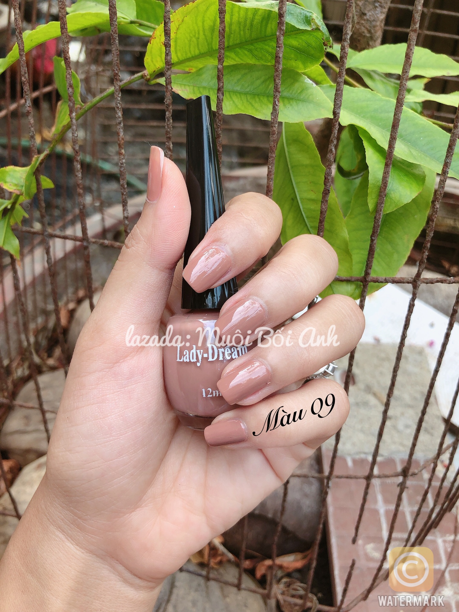 [HCM]Sơn móng tay Ladydream 12ml