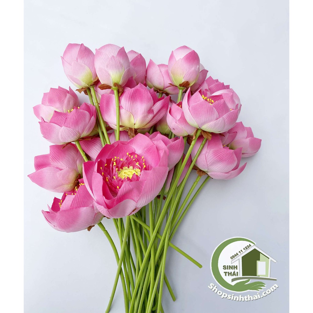 [HCM]Cành hoa sen giả - bông sen vải lụa Thái Lan cao cấp - chọn bông