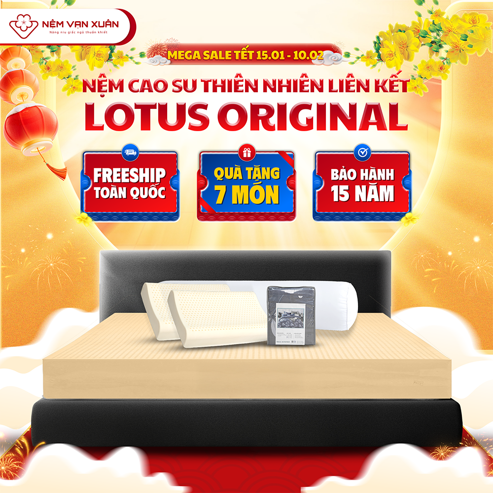[MEGA TẾT 15.01-10.02 - MUA 1 TẶNG 7] Nệm Cao Su Thiên Nhiên Liên Kết Vạn Xuân Lotus Original Độ Đàn