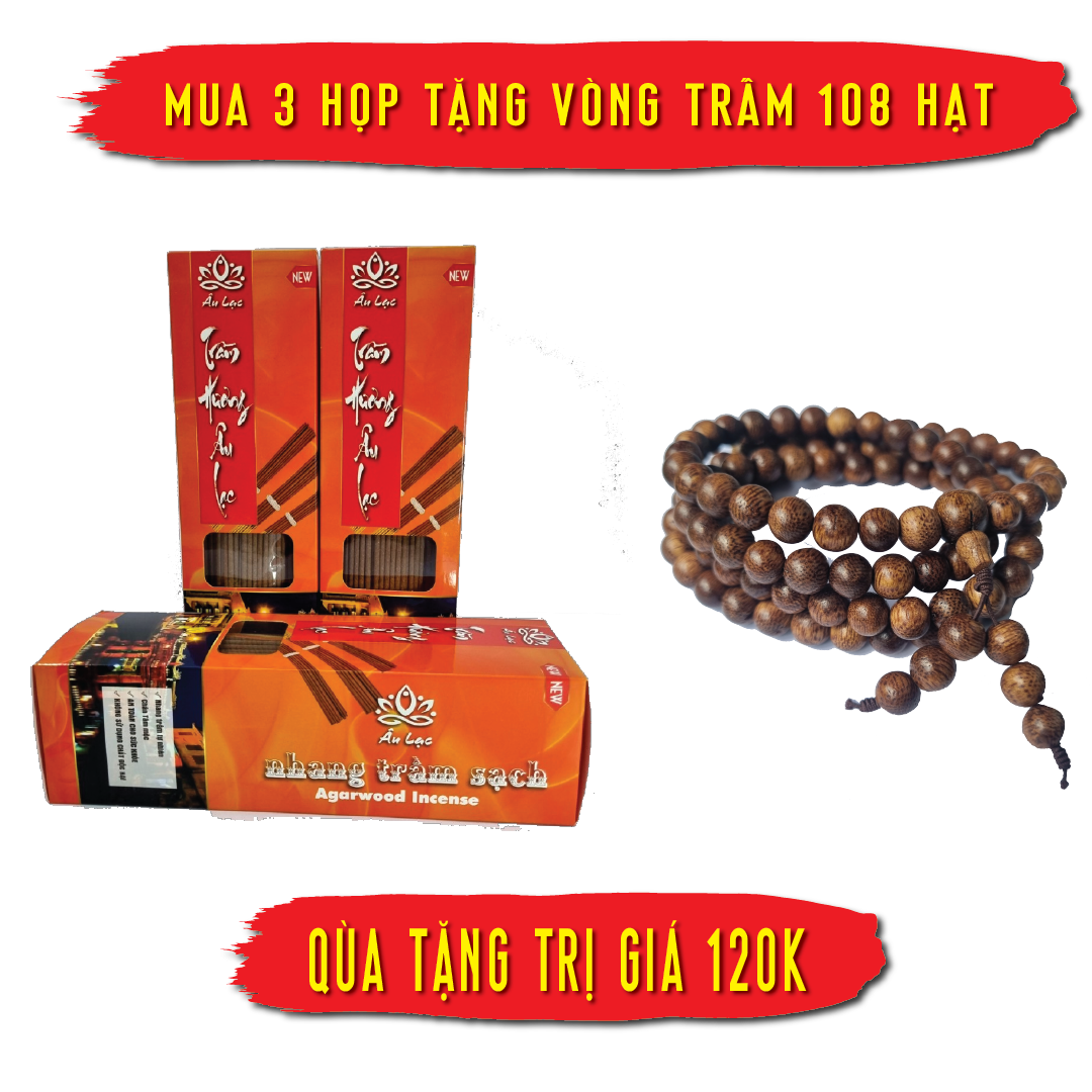Họp Nhang Trầm 460 Cây Loại Tốt Nhà Âu Lạc Trầm Kiến Tự Nhiên 100% ít Khói Không Hóa Chất Thơm Dịu Ngọt.