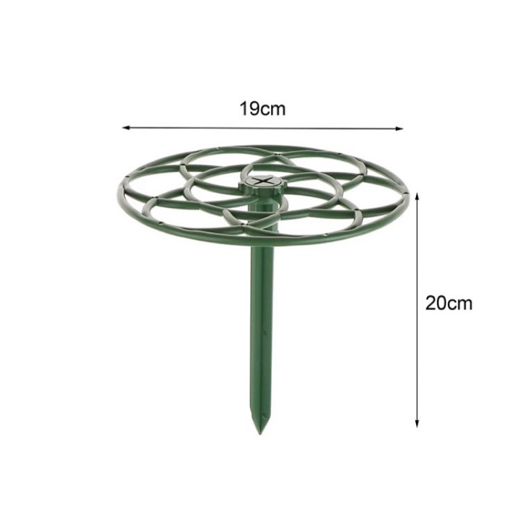 Khung giá đo hoa mười giờ. Kích thước 19/23/28cm