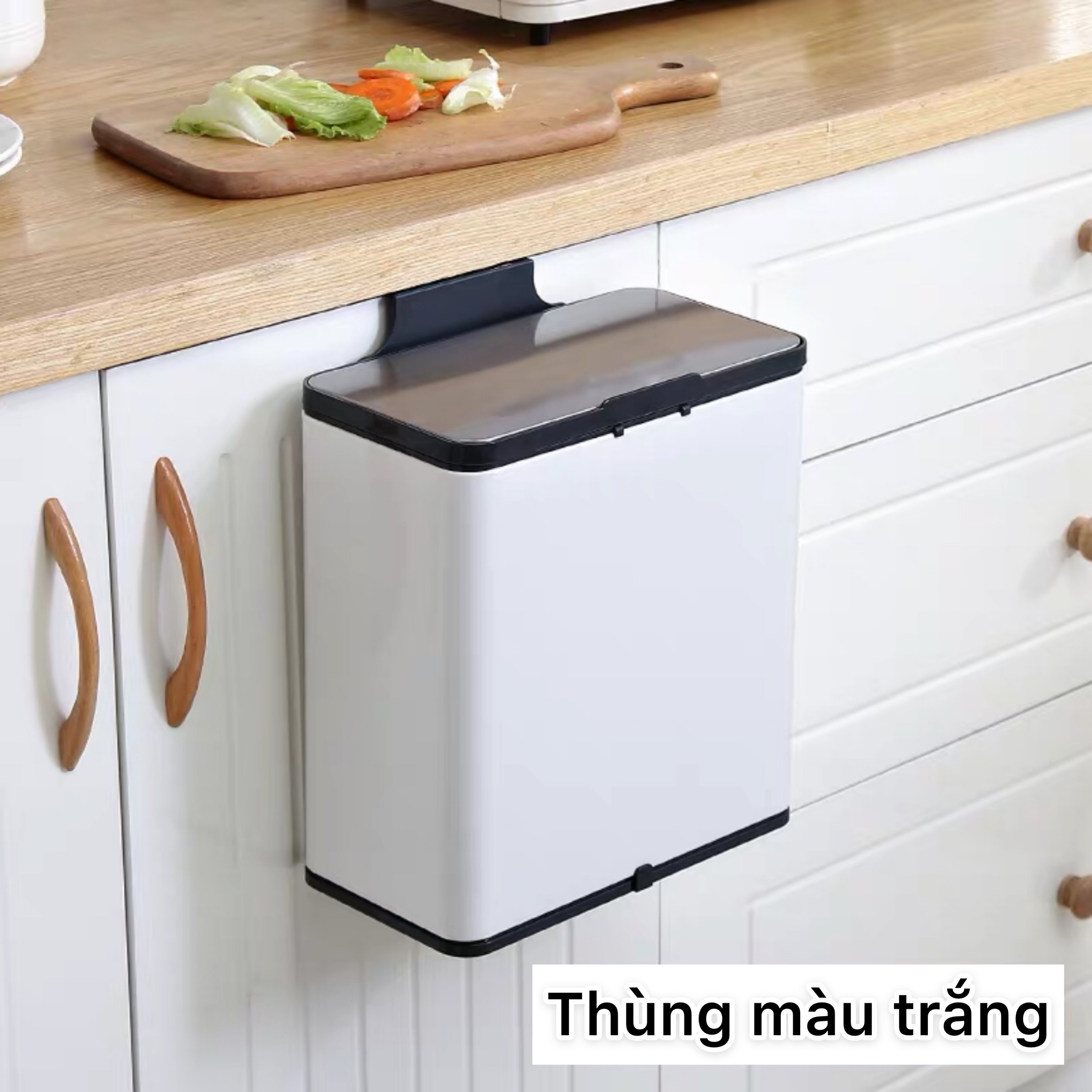 Thùng rác treo tủ inox 304 cao cấp thùng rác dán tường thùng rác thông minh thùng rác nhà bếp thùng 