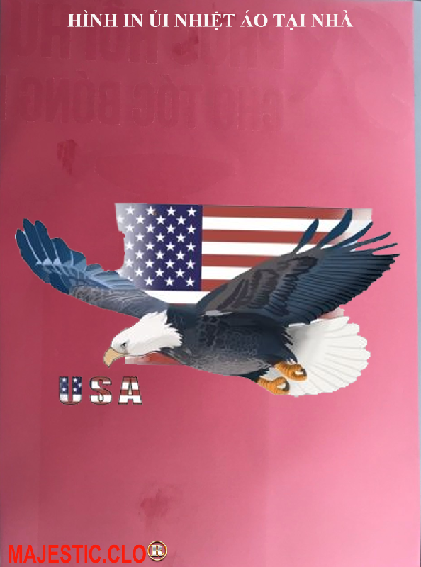 Hình ủi ép nhiệt-Logo American Eagle-Hình IN ÁO TẠI NHÀ RẤT ĐẸP- khuyến mãi -in pet chuyển nhiệt- ủi trực tiếp lên vải áo rất đẹp -MAJESTIC.CLO