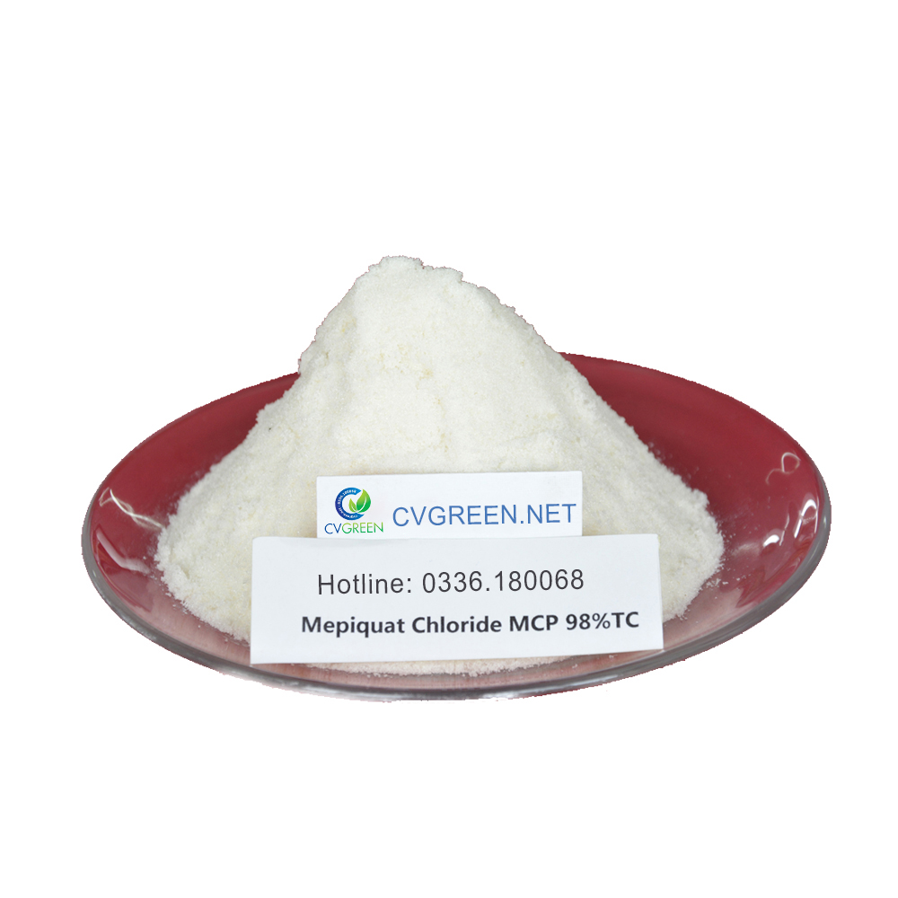 [HCM]Mepiquat Chloride - Hạn chế sự kéo dài của tế bào Kiểm soát sự tăng trưởng của thân và cành (gó