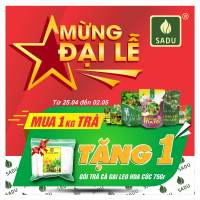 Trà cà gai leo đinh lăng Sadu thải độc gan thư gian tình thần tăng cường sức đề kháng