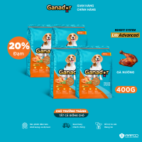 Combo 4 x Thức ăn hạt Ganador cho chó vị Gà nướng 400g
