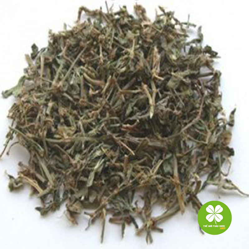 Cây Biển Súc Khô (1Kg) - Tdv279