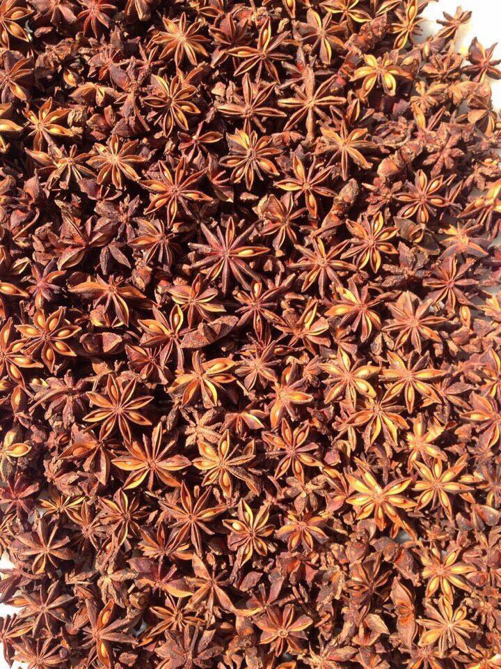 Hoa hồi khô Lạng Sơn (100g) gia vị nấu bò kho nấu phở cá kho ngâm