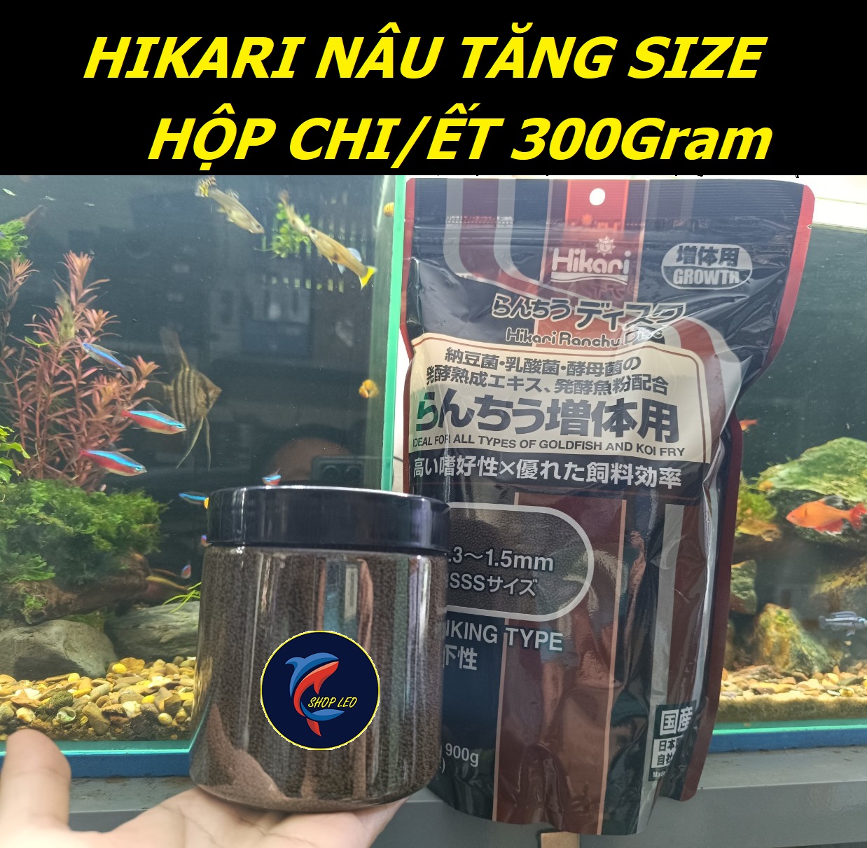 Cám HIKARI nâu - thức ăn Hikari nâu cao cấp giúp tăng size cá cầu vồng cá vàng Koi cá đĩa pleco.. - 