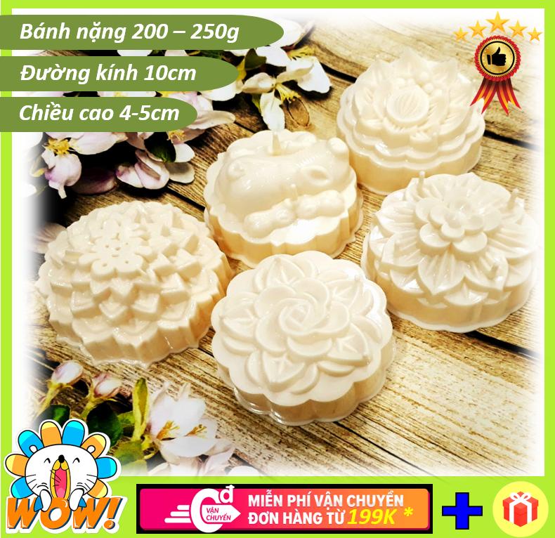 [HCM]Combo 05 khuôn làm rau câu nghệ thuật rau câu 3D ấn xôi ép cơm bento tạo hình bánh trung thu đa