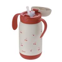 Bình giữ nhiệt có ống hút RICHELL Nhật TLI 300ml-450ml | Baby
