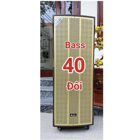 CHÍNH HÃNG Loa Kéo Cao cấp AzPro AZ-215 Bass đôi 40 Tặng 2 Micro Kim loại UHF LOA BLUETOOTH KARAOKE 