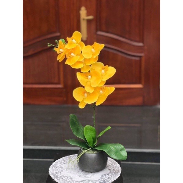 Bình Hoa Lan Hồ Điệp Cao Cấp - Chậu Hoa Giả Để Bàn Phòng Khách Cao 60cm Trang Trí Nhà Cửa Sang Trọng