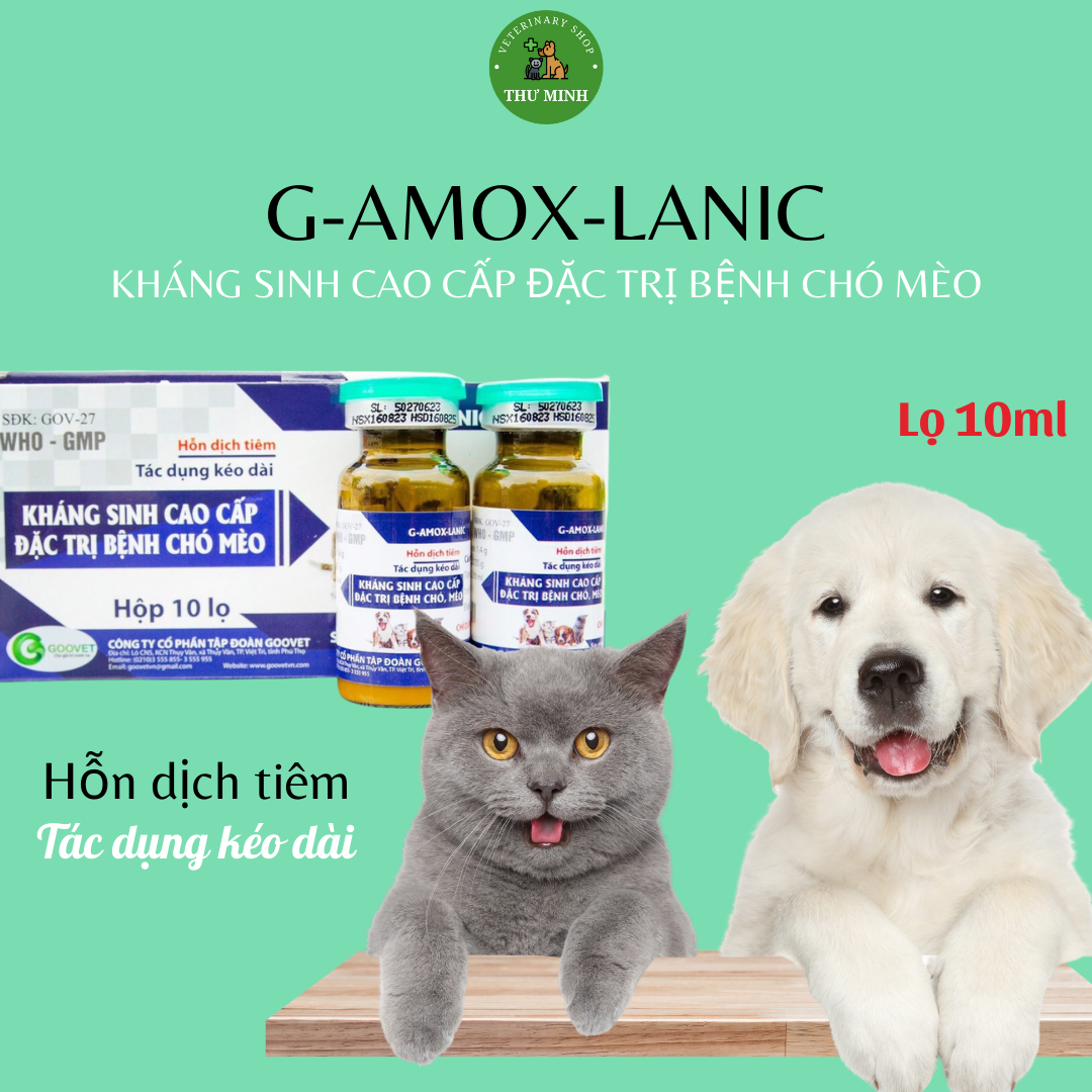 G-AMOX-LANIC + B.COMPLEX  lọ 10 ml dành cho chó mèo chim cảnh