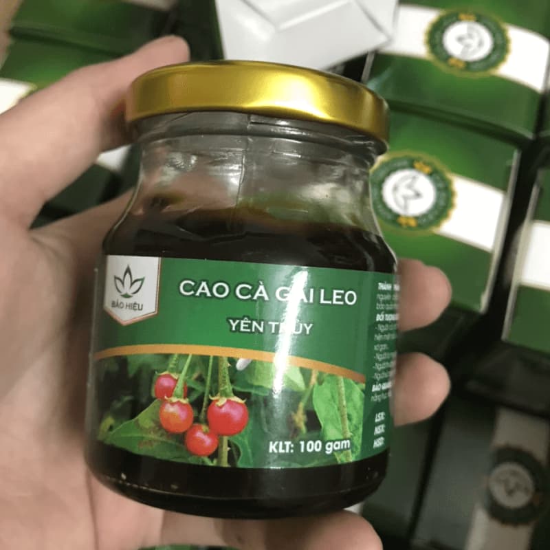 Cao Cà Gai Leo Yên Thủy 100 Gram