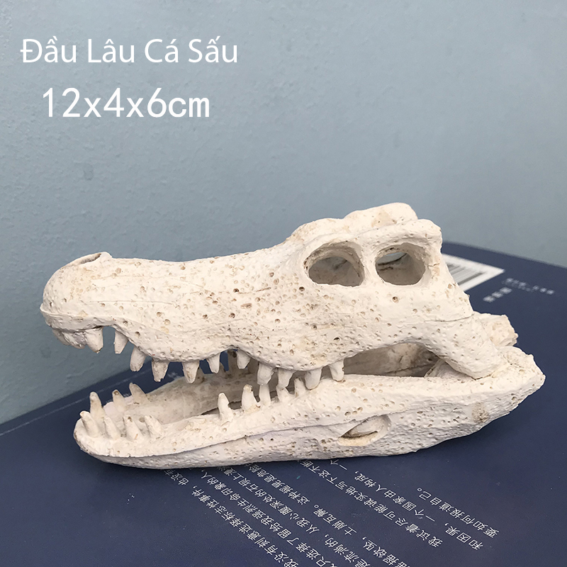 Đồ chơ khảo cổ đào hóa thạch đầu động vật vượn người hổ răng nanh chim ưng Đồ chơi giáo dục. truy tì