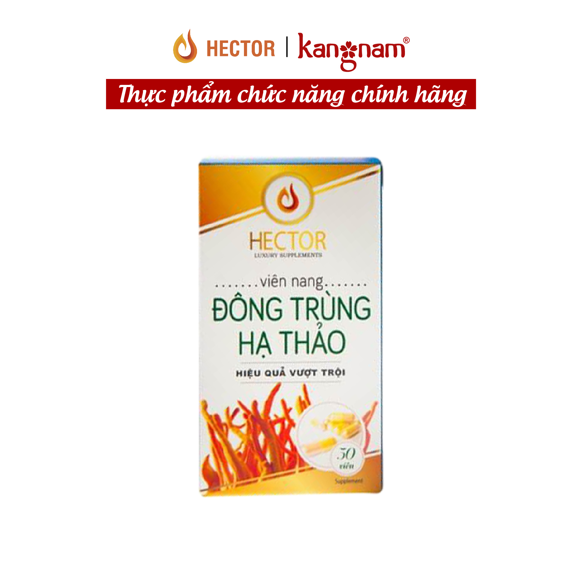 Đông Trùng Hạ Thảo Hector Nguyên Chất 30Vien Chất Lượng Đảm Bảo An Toàn Và Cam Kết Hàng Đúng Mô Tả