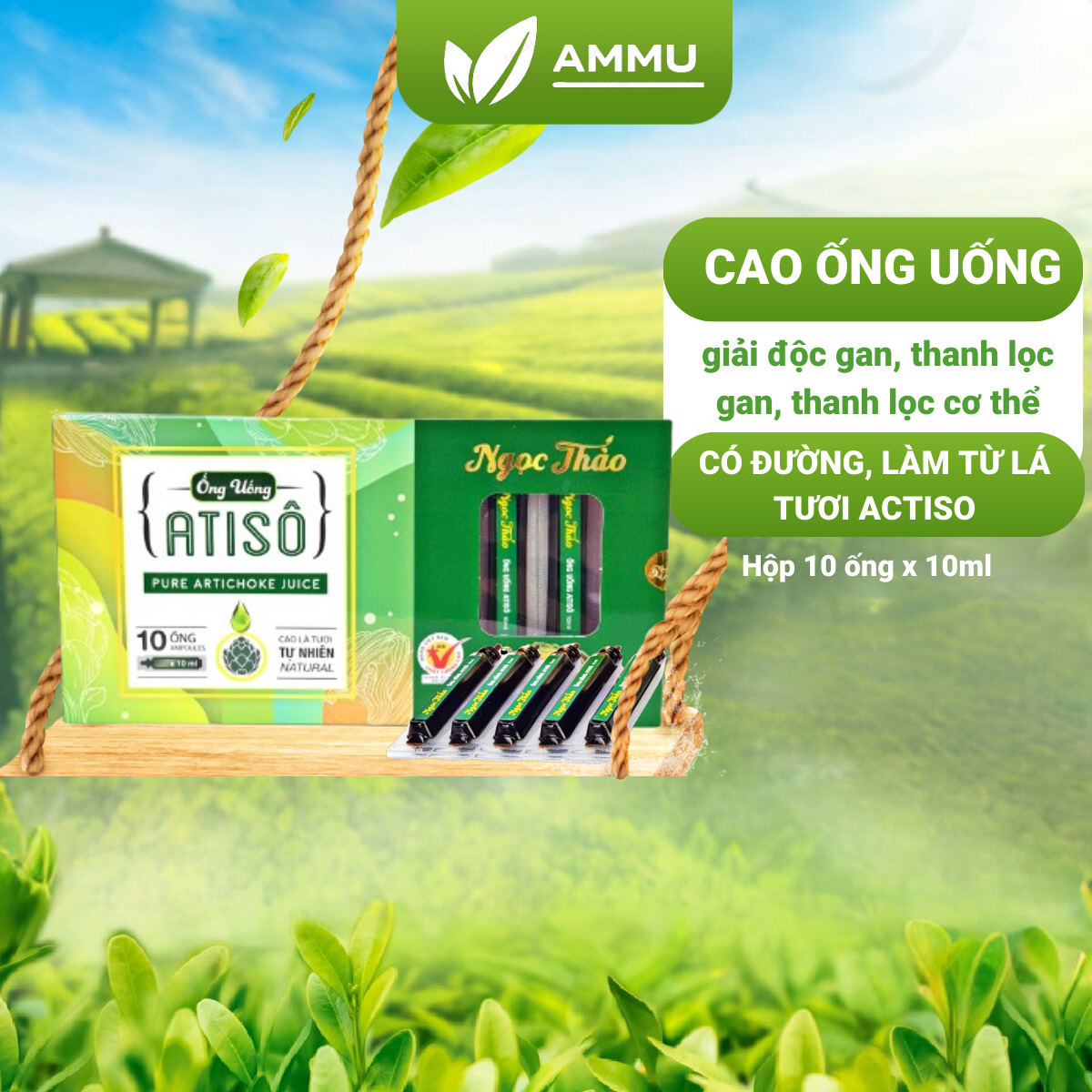 Cao ống Atiso có đường lá tươi atiso mát gan thanh nhiệt cơ thể Hộp 10 ống x 10ml NT