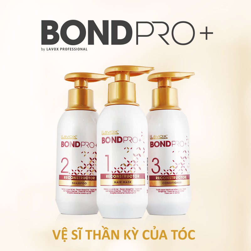 BỘ CHĂM SÓC TÓC CAO CẤP LAVOX BONDPRO + 300ML X3